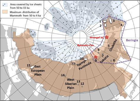 A Quest for the Unknown: Investigating the Disappearance of the Arctic Star